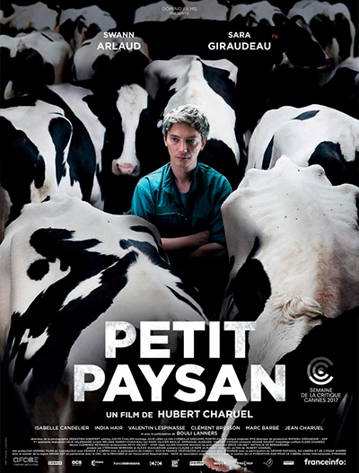 Cine: Poster Imagen